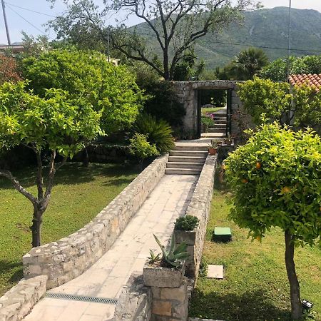 Charming Apartment For 3 Pax In Cavtat Ngoại thất bức ảnh