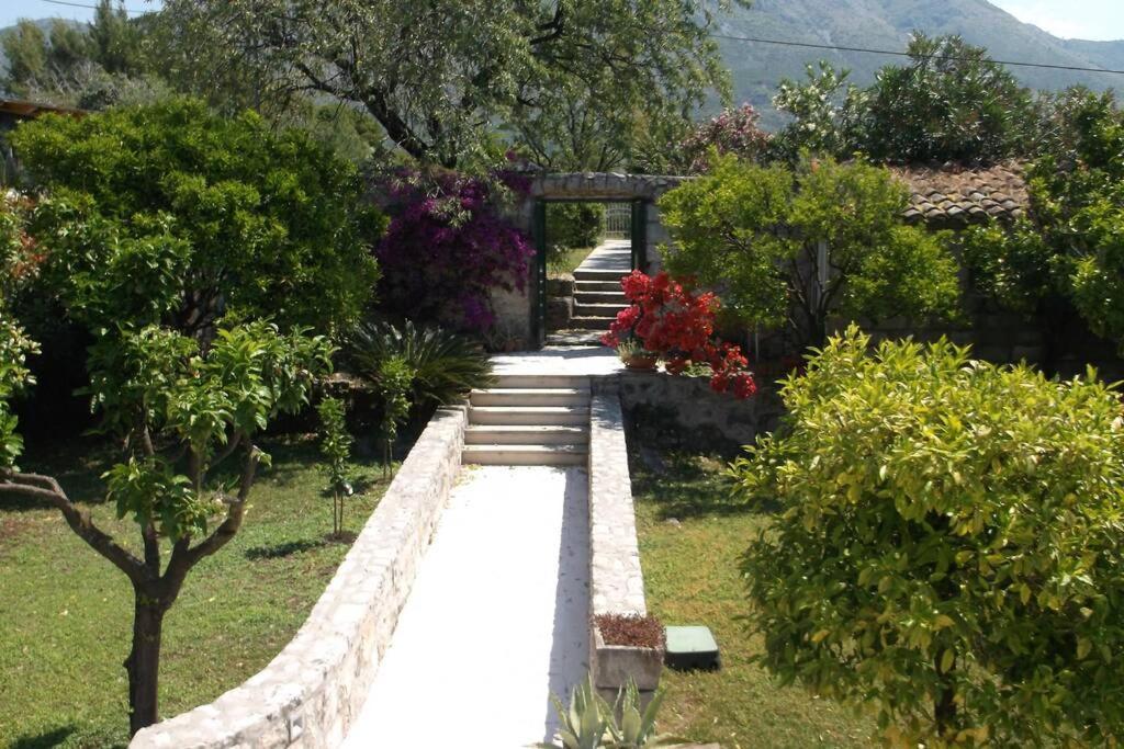 Charming Apartment For 3 Pax In Cavtat Ngoại thất bức ảnh