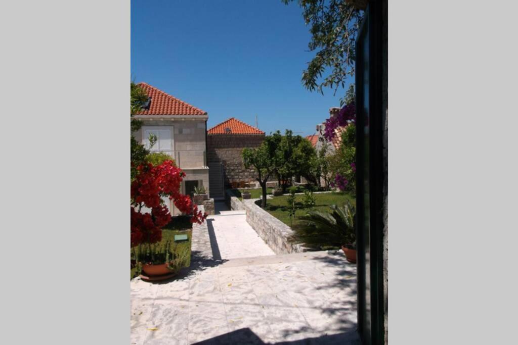 Charming Apartment For 3 Pax In Cavtat Ngoại thất bức ảnh