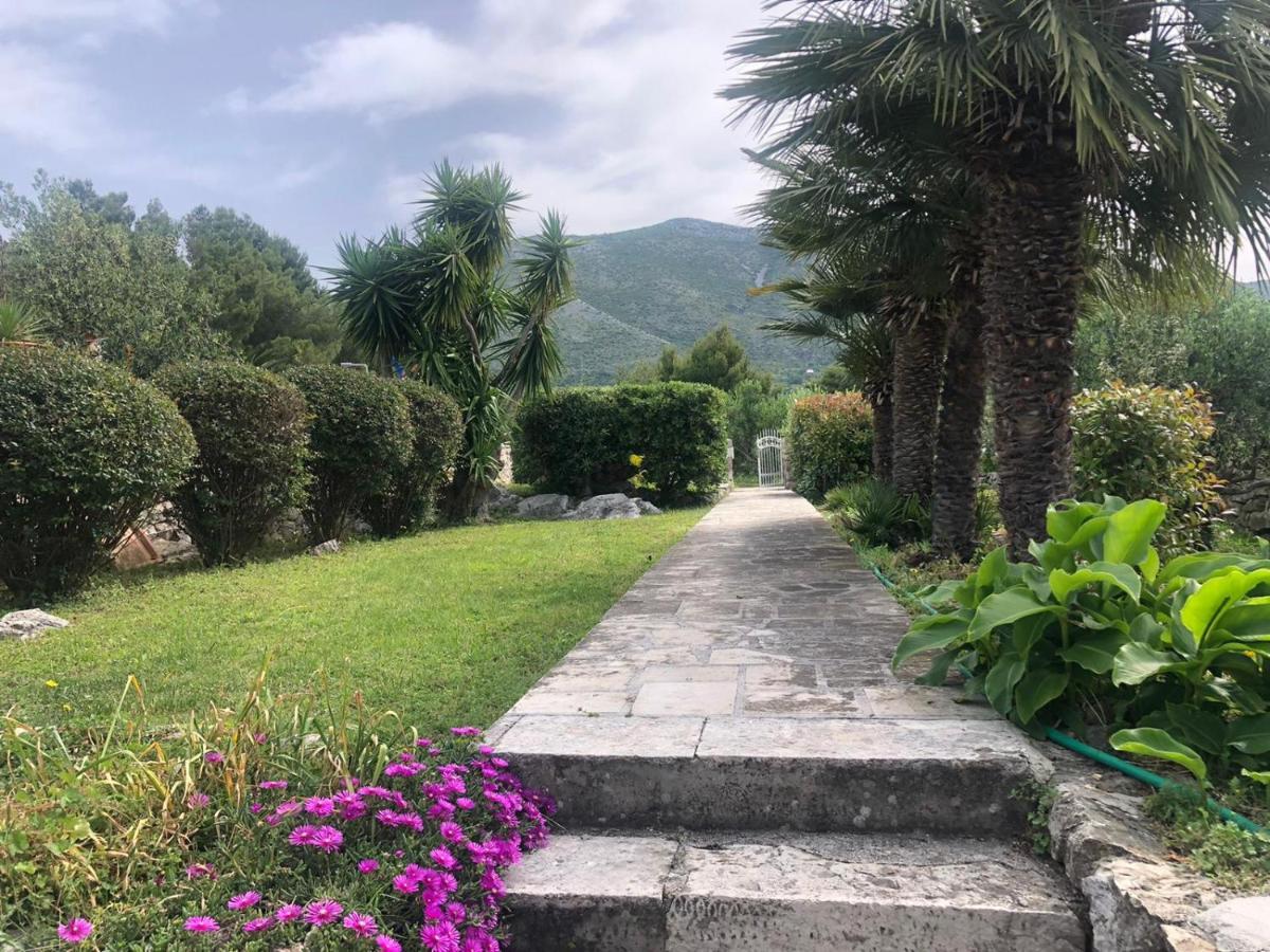 Charming Apartment For 3 Pax In Cavtat Ngoại thất bức ảnh